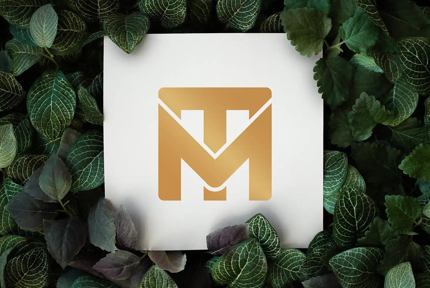 Mockup showing the new icon only on a sign surrounded by leaves